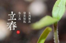 梦见自己怀孕五个月左右了