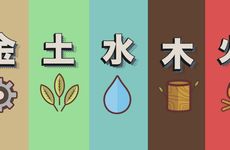 2025年8月11日出生的人五行八字命盘