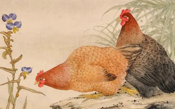 88龙93鸡生什么属相的孩子好