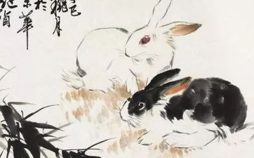 为什么说狗遇兔必定富