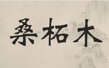 壬子桑柘木的主要含意