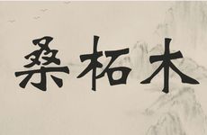 壬子桑柘木的主要含意