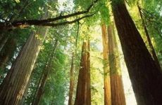 火克金为什么说生财