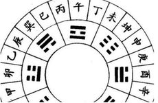 酉与其他十二地支的关系