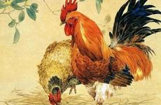 家里有鸡狗鼠家庭的状态会如何