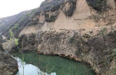 戊土缺木怎么补救