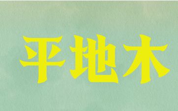平地木命女命横财命运