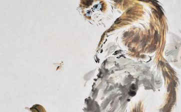 猴和马犯冲吗