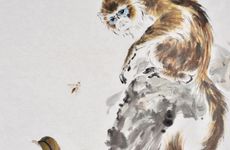 为什么猴女为什么不能嫁鸡男