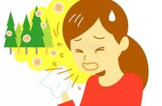 十二时辰打喷嚏测吉凶