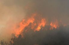 什么是1994属狗山头火命？