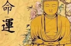 1978年属马人48岁走大运好不好