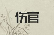 伤官见官女命是克夫还是旺夫