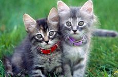 各地的三周年祭风俗