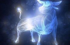 金牛座2025年12月运势