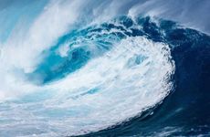 大海水命的人命运如何