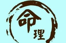 乙巳年丙申日柱与双胞胎子女命理