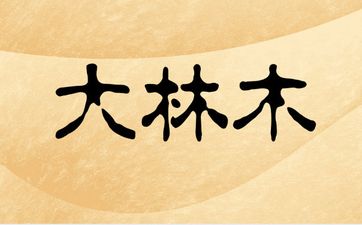 海中金命男和大林木女婚姻相配吗