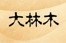 海中金命男和大林木女婚姻相配吗