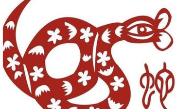 77年蛇2025年百年一遇