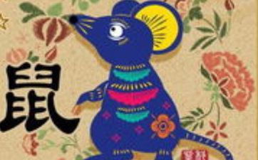 鼠兔相冲反而大吉是真的吗