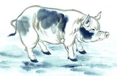 猪遇龙食无穷是真的吗？