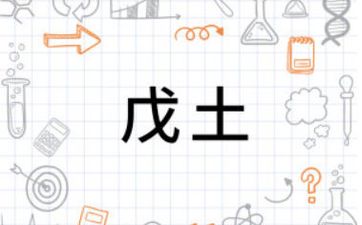 戊土生于亥月是什么格局