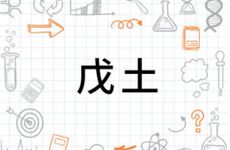 戊土生于亥月是什么格局