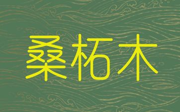 癸丑桑柘木的主要含意