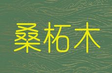 癸丑桑柘木的主要含意