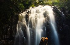 盲派命数的精髓是什么