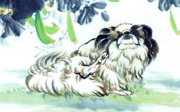 93年鸡和94年狗犯冲吗