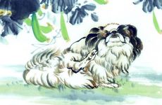 93年鸡和94年狗犯冲吗