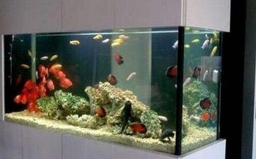 家里鱼缸风水讲究
