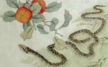 二月蛇是富贵命还是苦命人