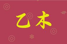 乙木日元最厉害的格局