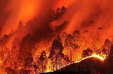 山头火命男命运如何？