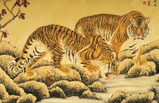 1998年的女虎是旺夫命吗