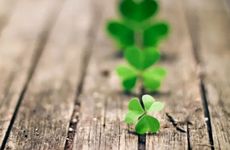 农历戊戌年是哪一年 平地木命适合什么职业?