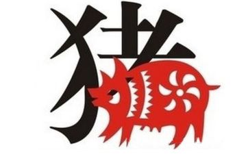 男猪大女蛇18岁适合做夫妻吗