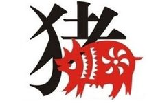 1959年猪穿什么色的衣服合适