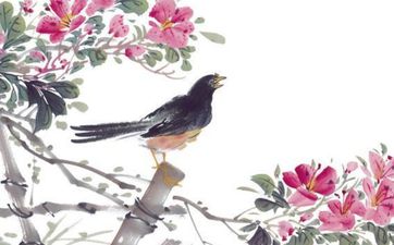 天堂鸟合适养家中吗