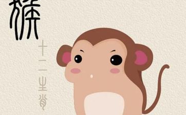 鼠和猴在一起谁带财
