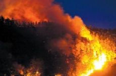 1995年属猪人山头火命是几等命