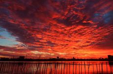 天上火和什么生肖配对最好