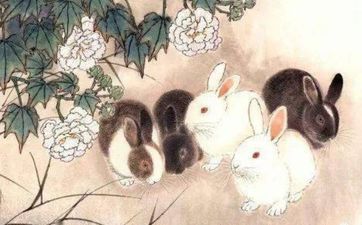 兔和龙的人适合做夫妻吗