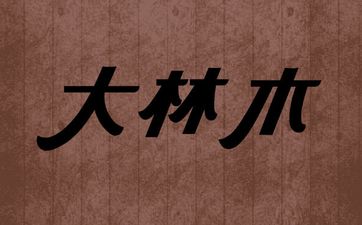 女孩1998大林木命好吗