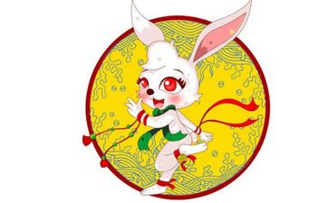 兔子和兔子属相合不合