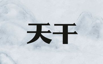 八字天干四冲