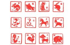 最疼属龙女的生肖男